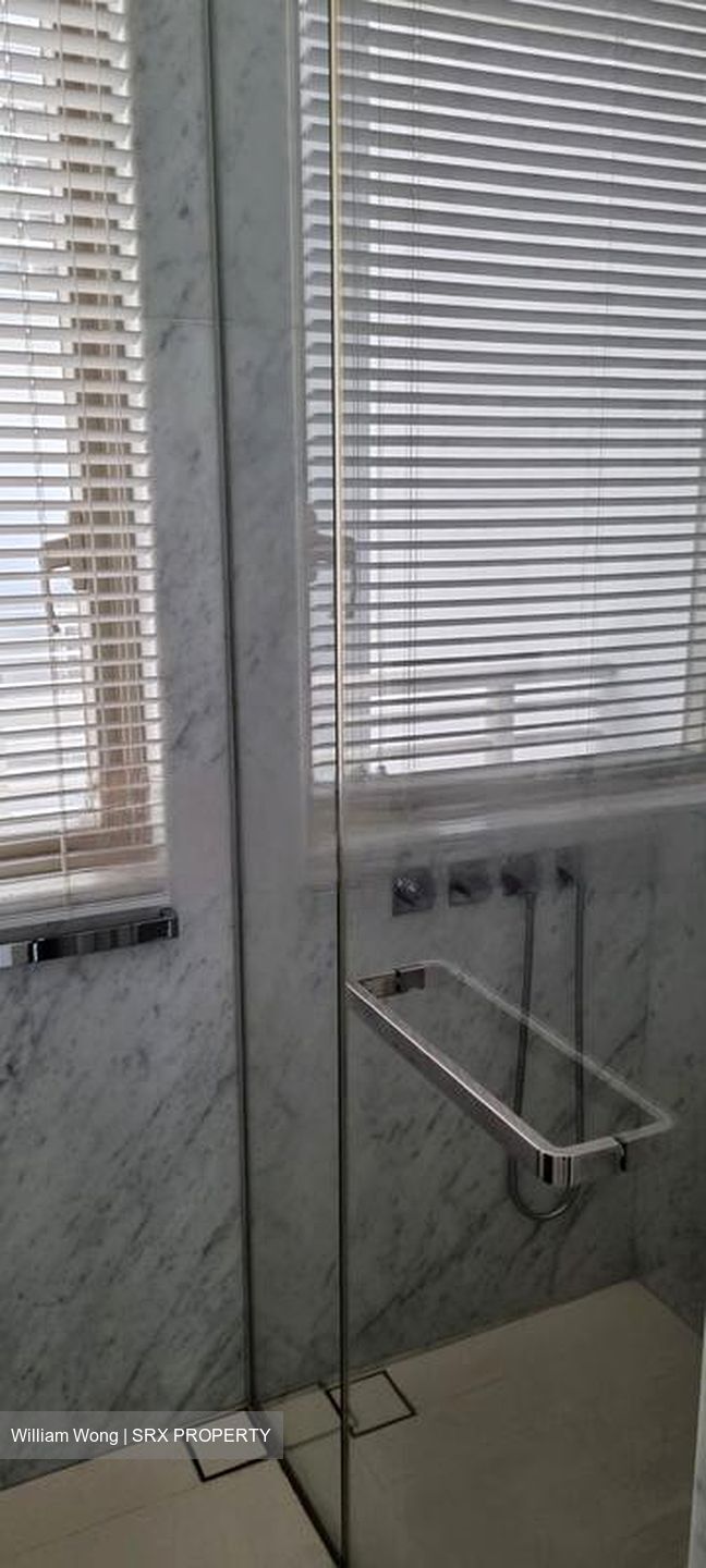 Scotts Square (D9), Apartment #483889121